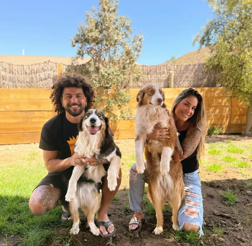 Falcón y sus perros.