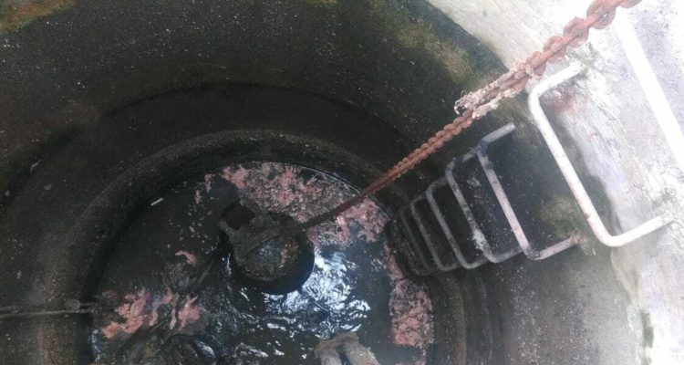 Por delito ambiental: bajo investigación hallazgo de vísceras de pescado en Ancud