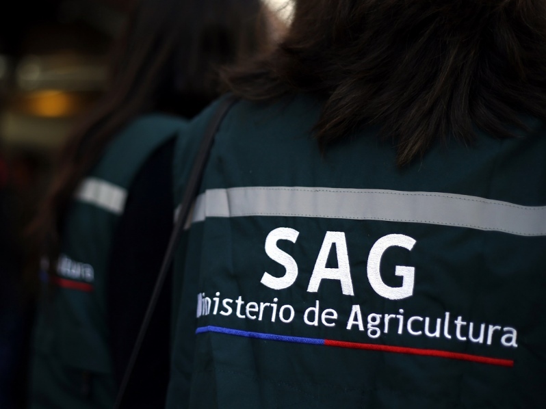 SAG Los Lagos