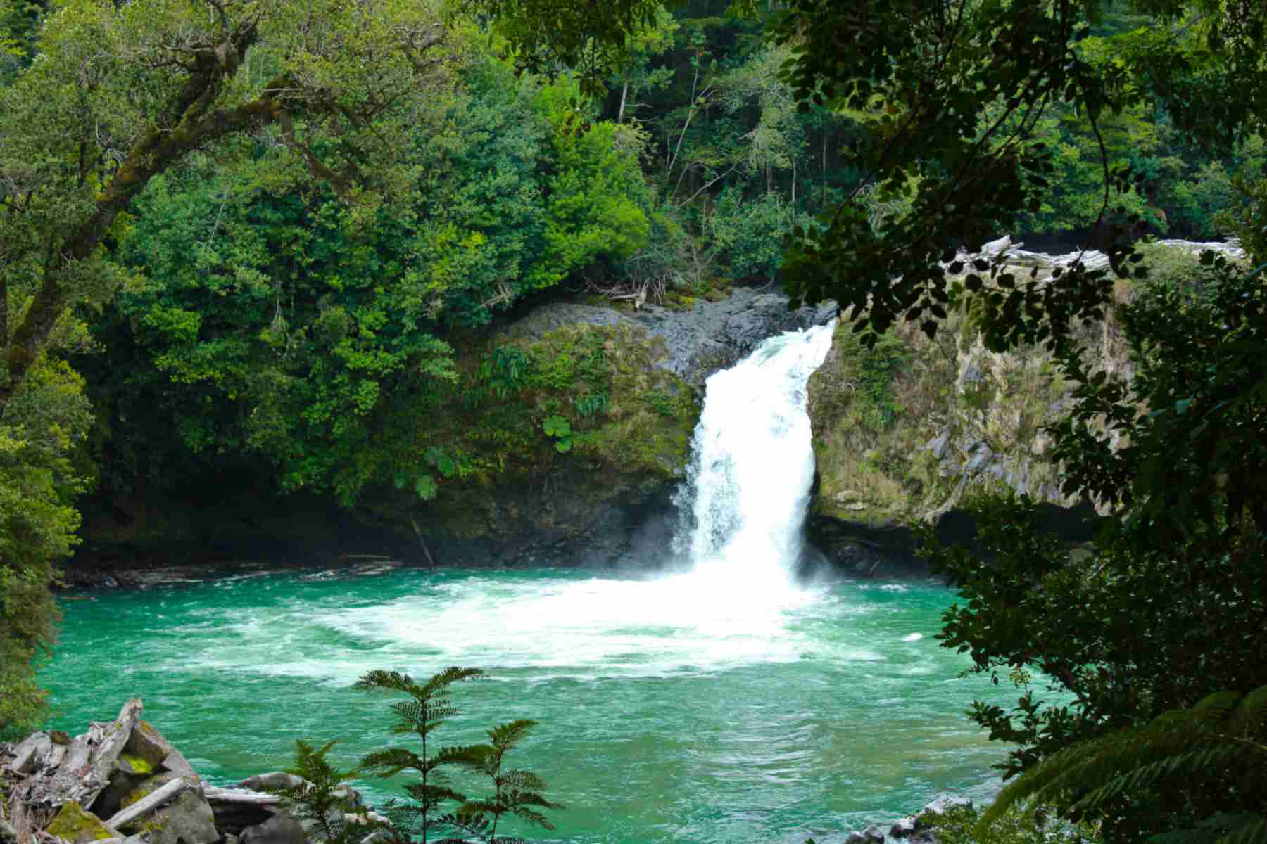 Parque Nacional Puyehue