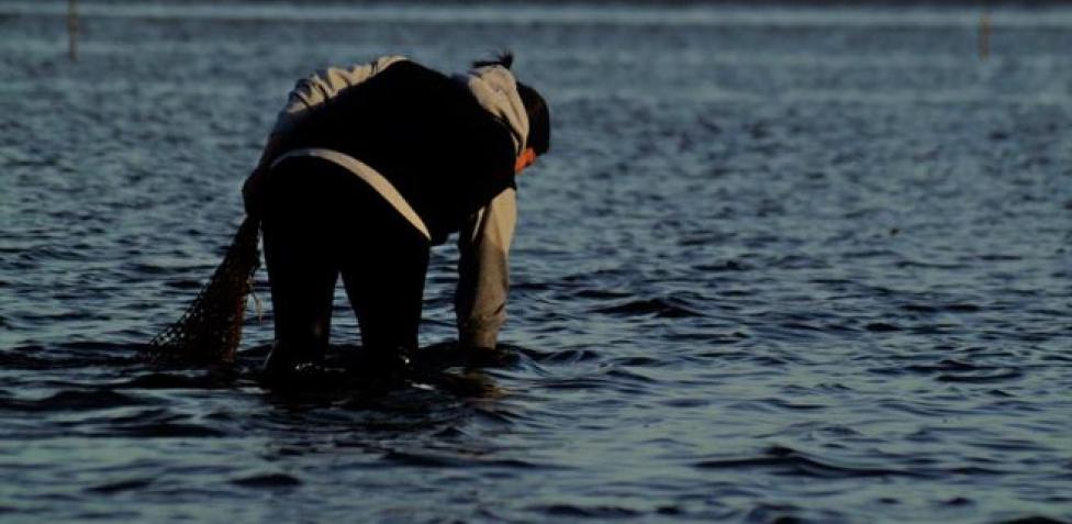 Recolectores de orilla