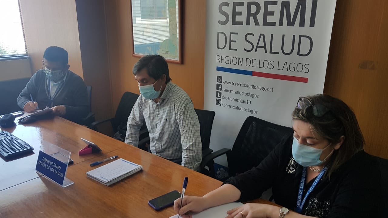 Covid-19 en Los Lagos