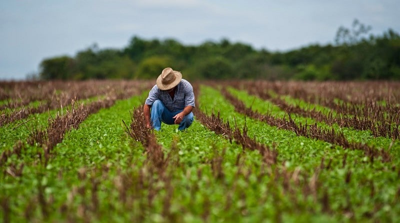 Censo Agropecuario y Forestal