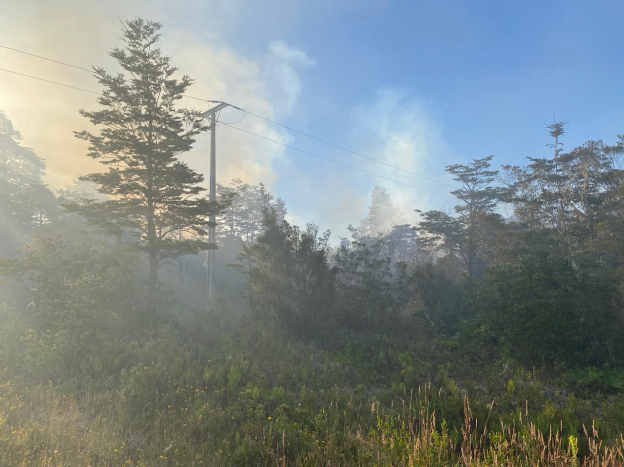 Incendio forestal en Lago Chapo