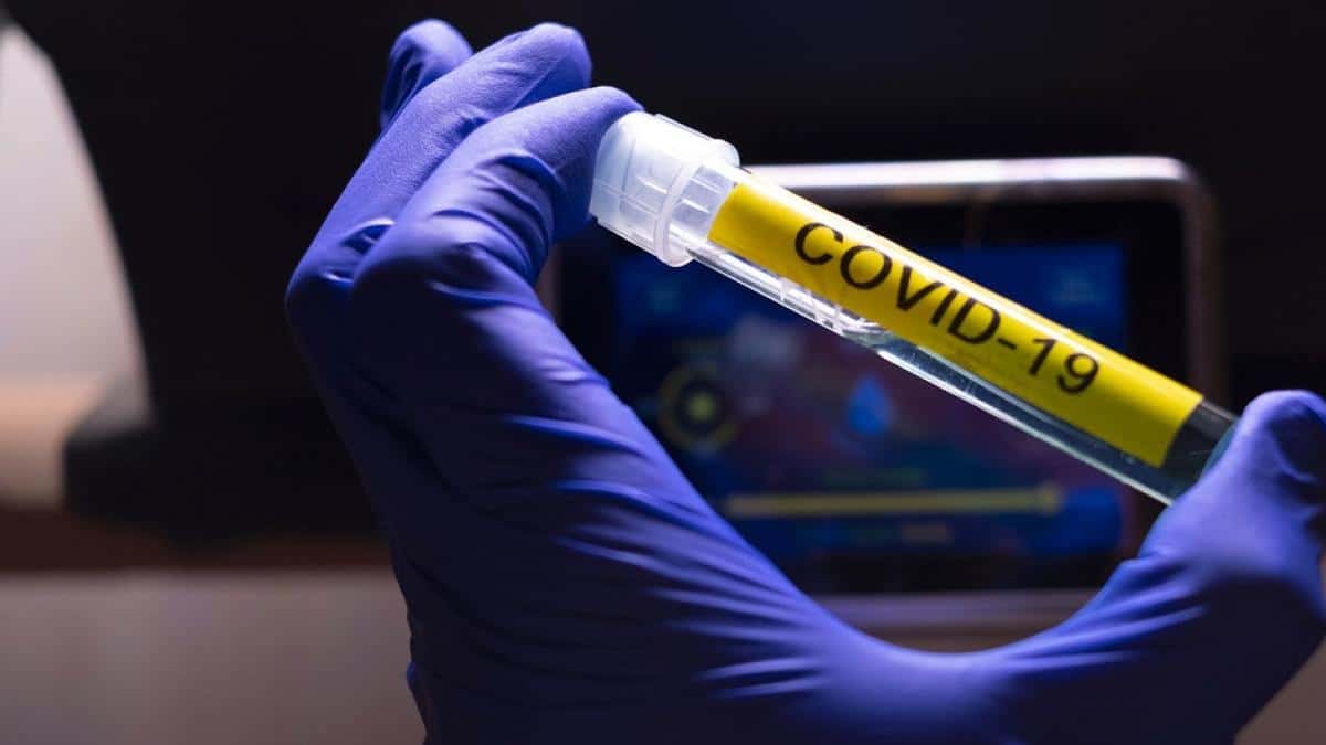 nuevos fallecidos por covid
