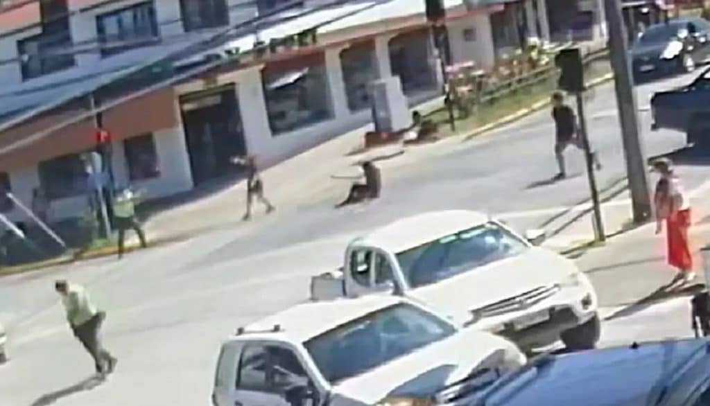defensa de carabinero