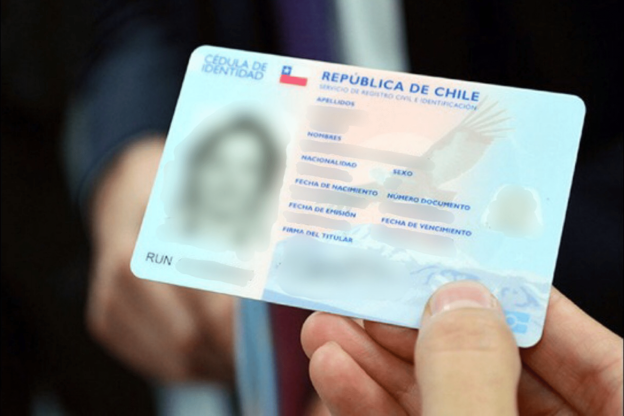 Cedulas de identidad