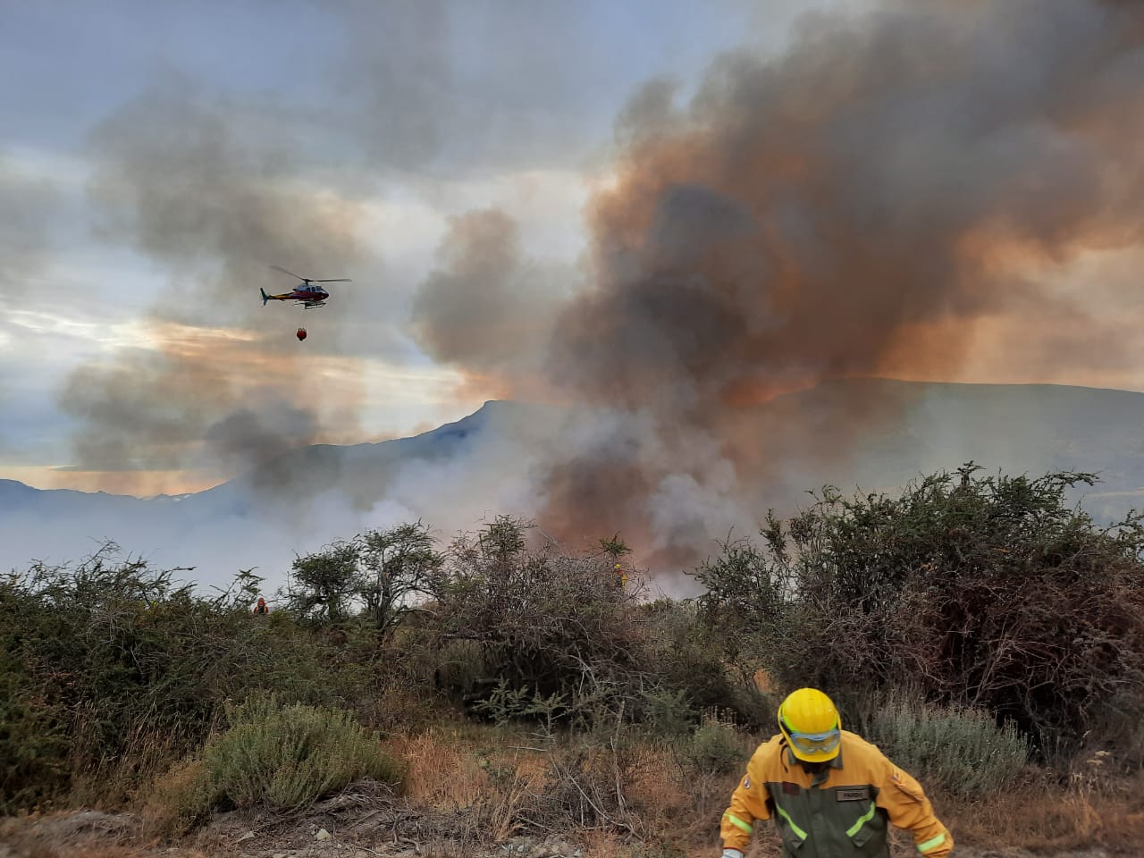 incendios forestales en Puerto Montt