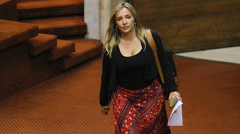 Diputada Hoffmann