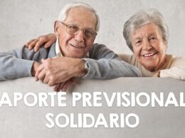 Aporte Previsional Solidario de Invalidez