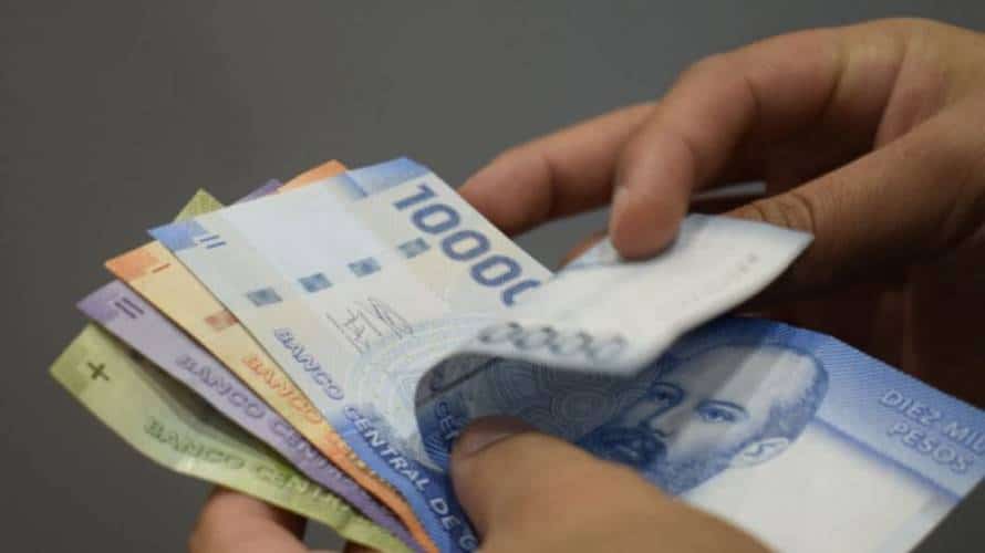 IFE Laboral y Subsidio Protege