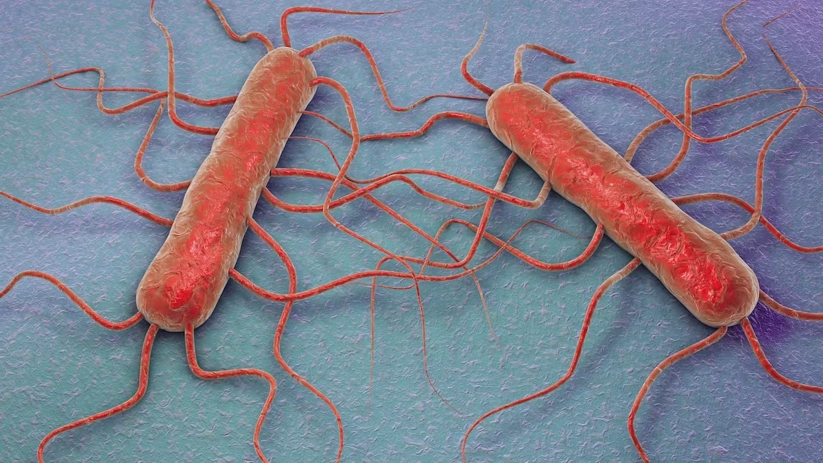 Listeria