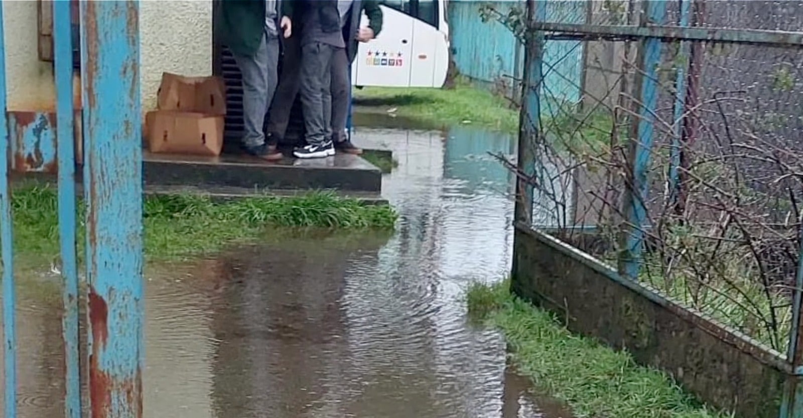 liceo de Carelmapu