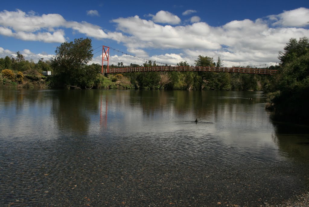 río Carihueico
