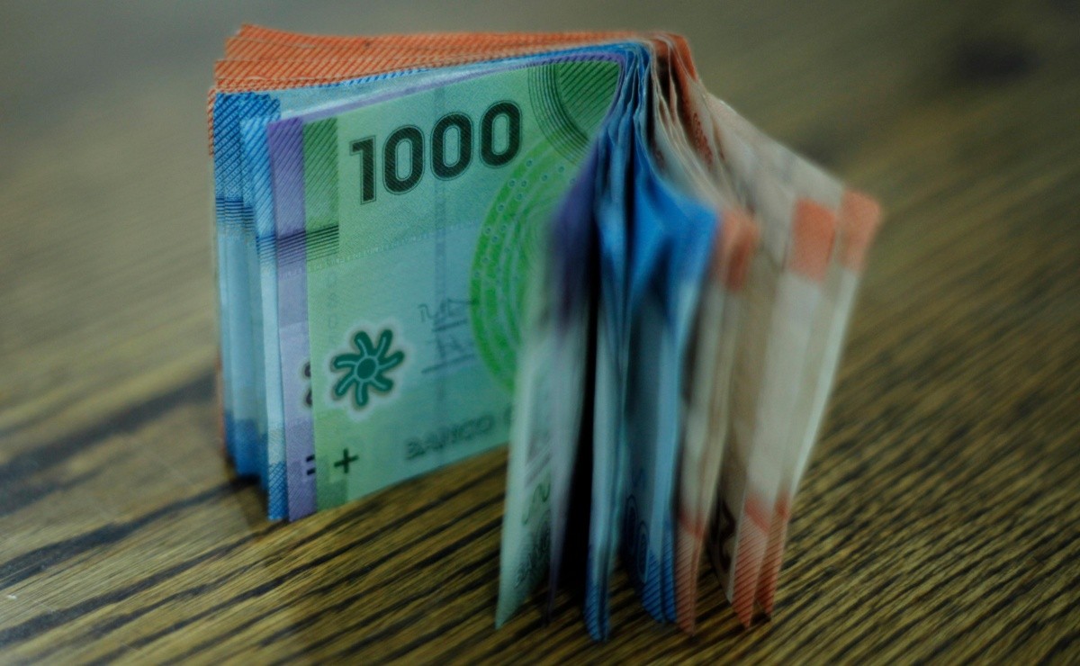 Bolsillo Familiar Electrónico