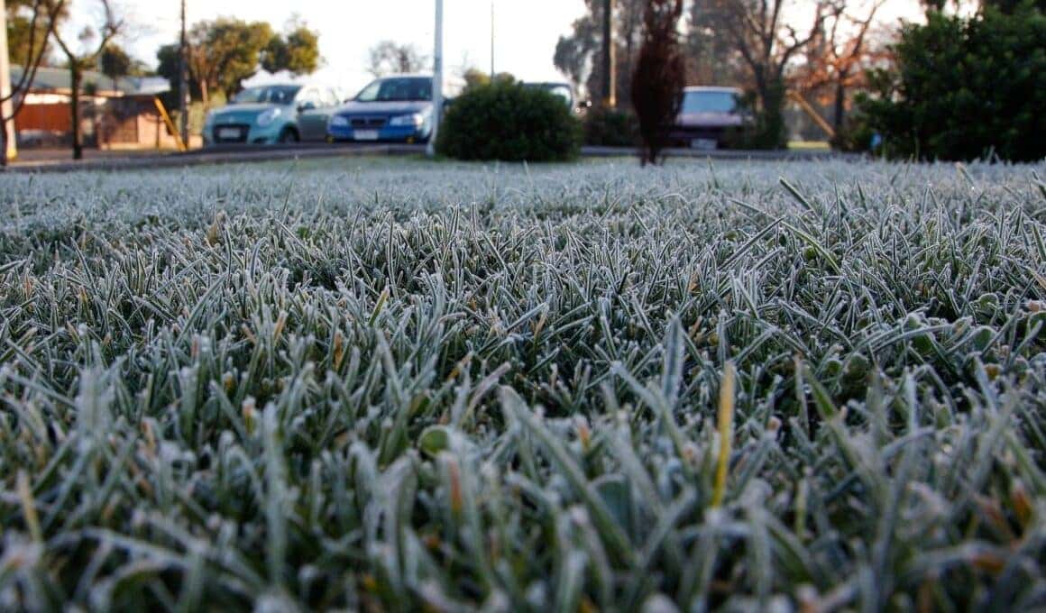 Dirección Meteorológica