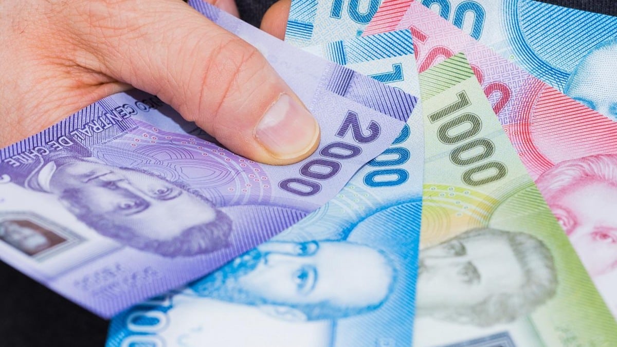 Bolsillo Familiar Electrónico