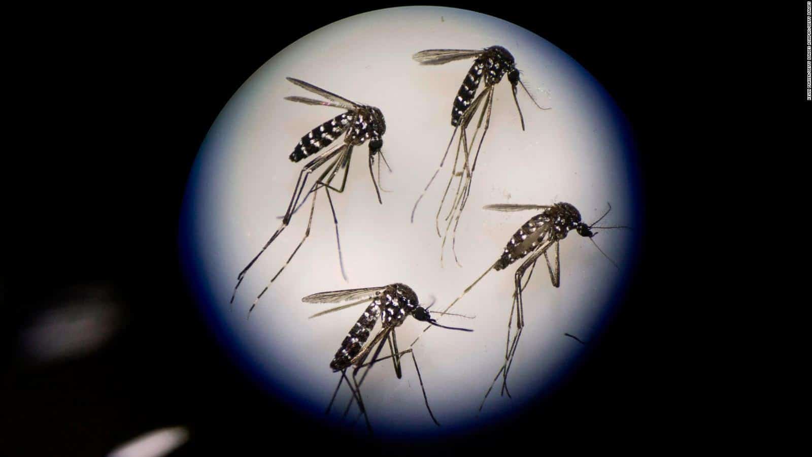 Dengue en Chile