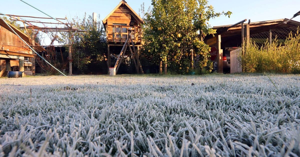 Sistema de Alerta meteorológica