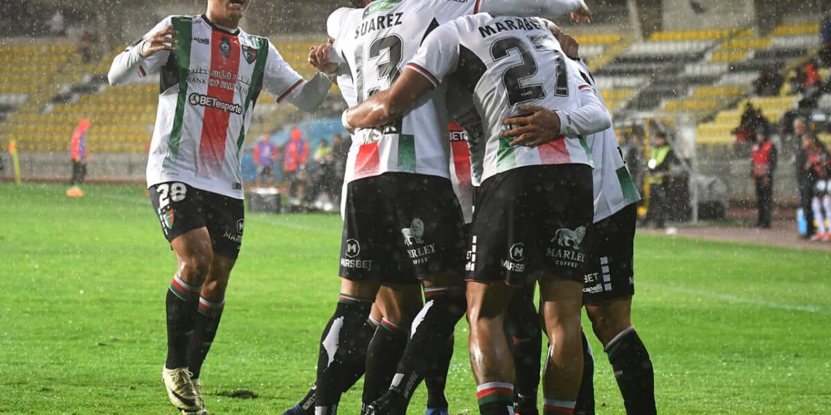 Palestino
