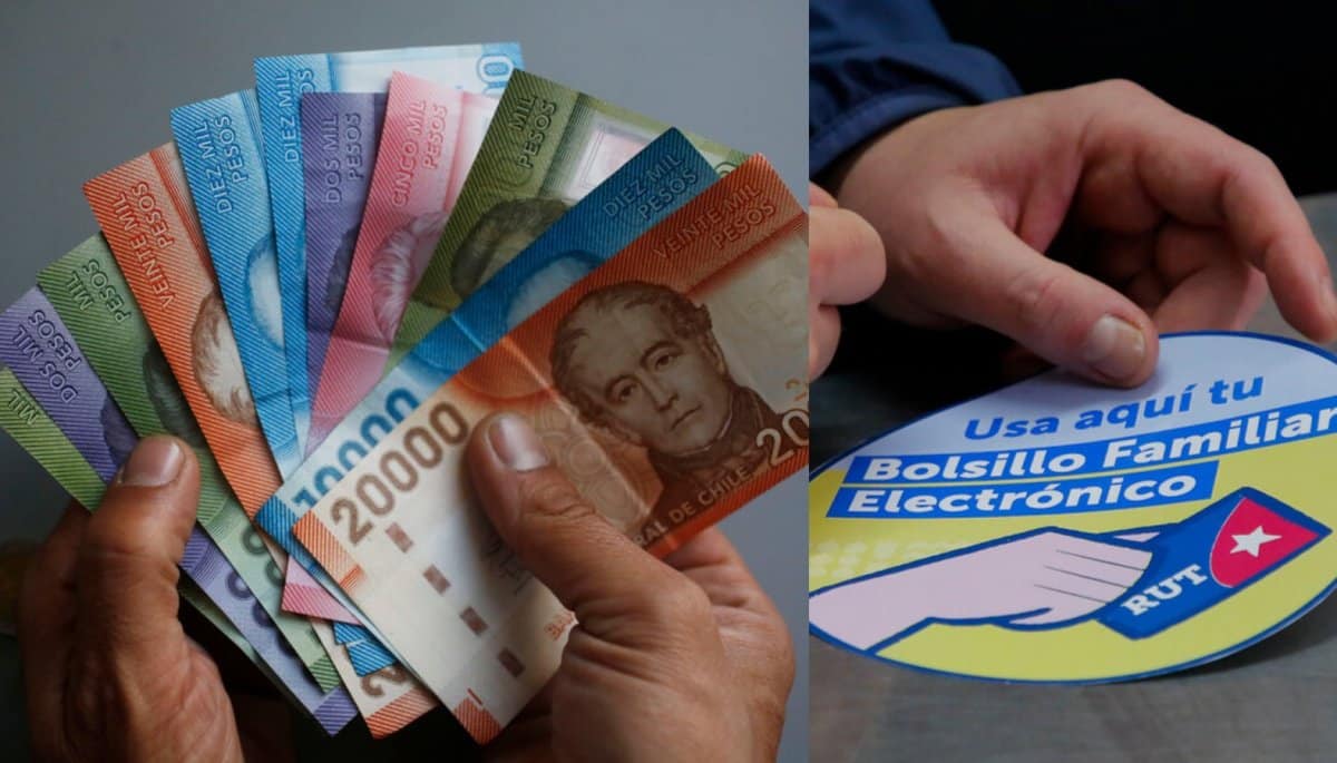 Bolsillo Familiar Electrónico