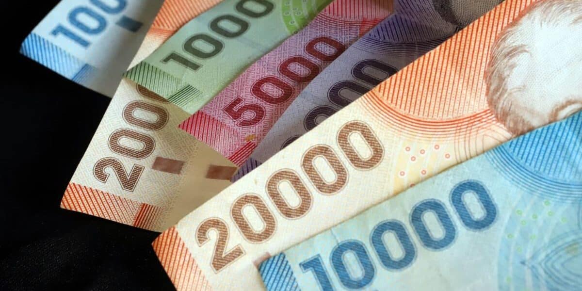 Ingreso Mínimo Garantizado