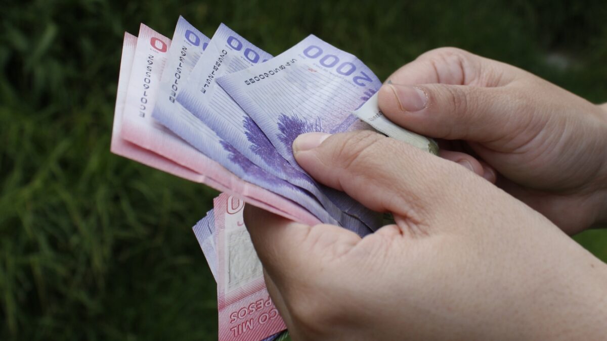 Bolsillo Familiar Electrónico