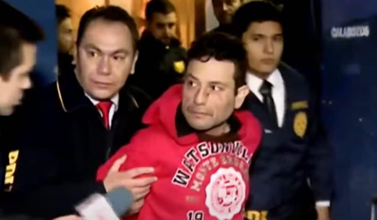 Chacal de San Bernardo