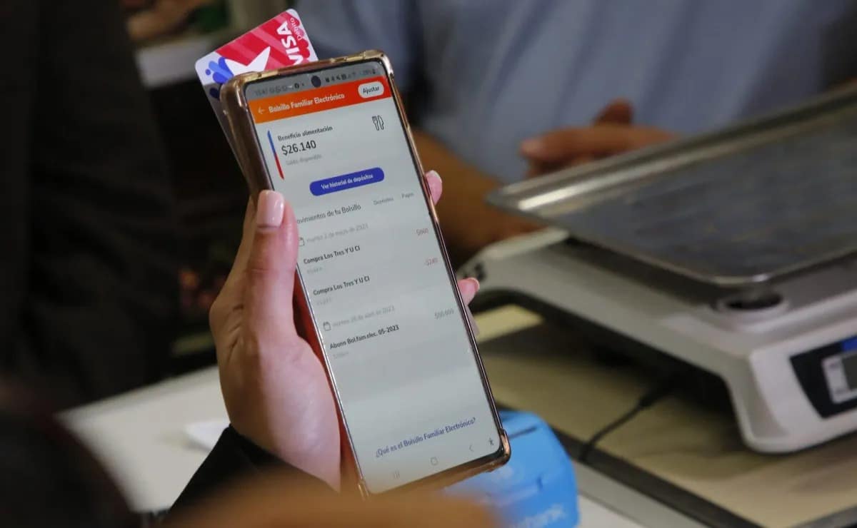 Bolsillo Familiar Electrónico