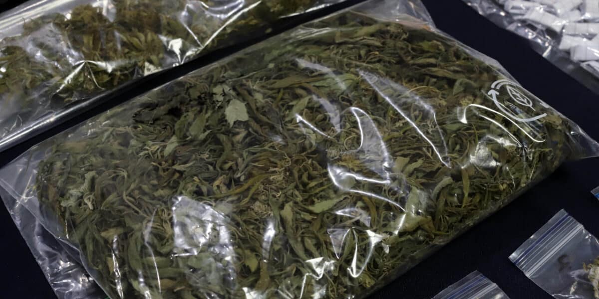 Marihuana
