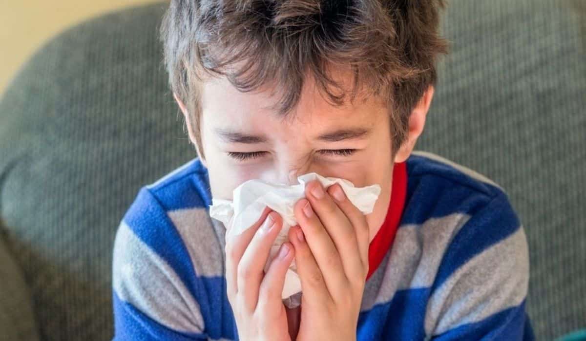 Streptococcus pyogenes