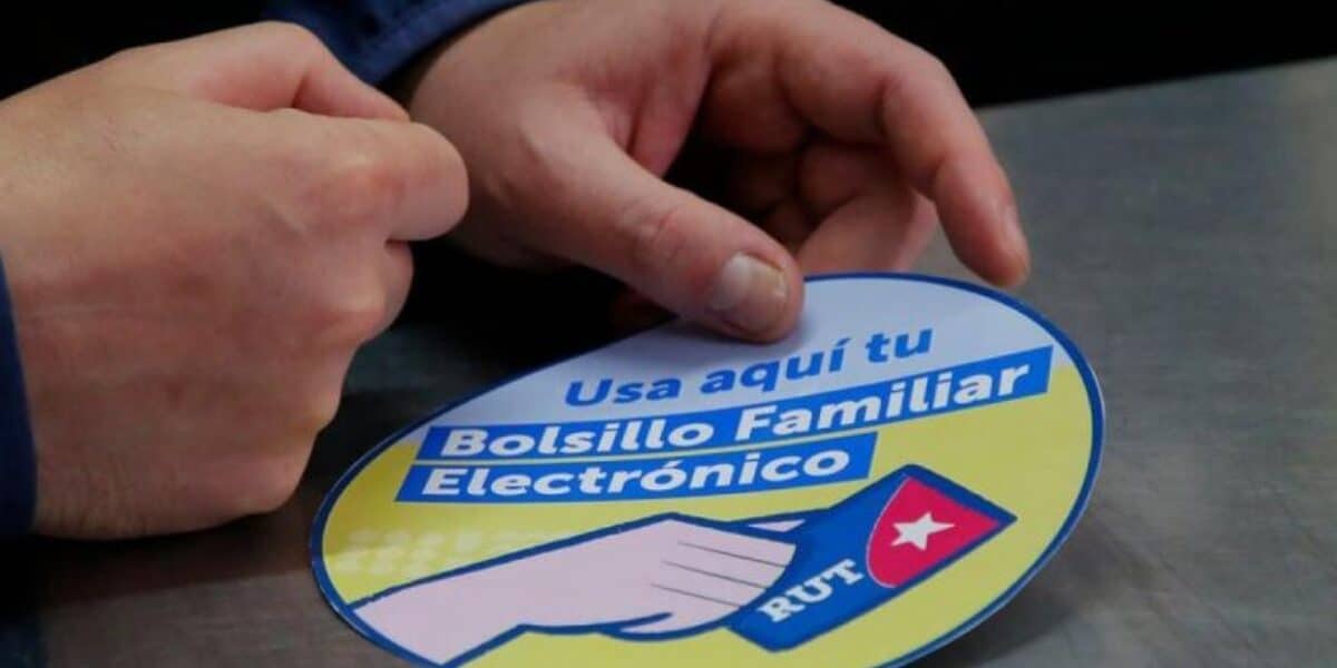 Bolsillo Familiar Electrónico