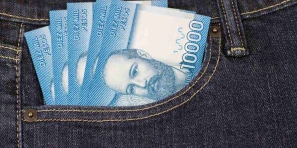 Bolsillo Familiar Electrónico