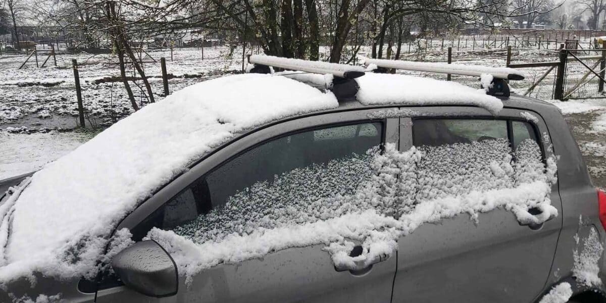 nieve