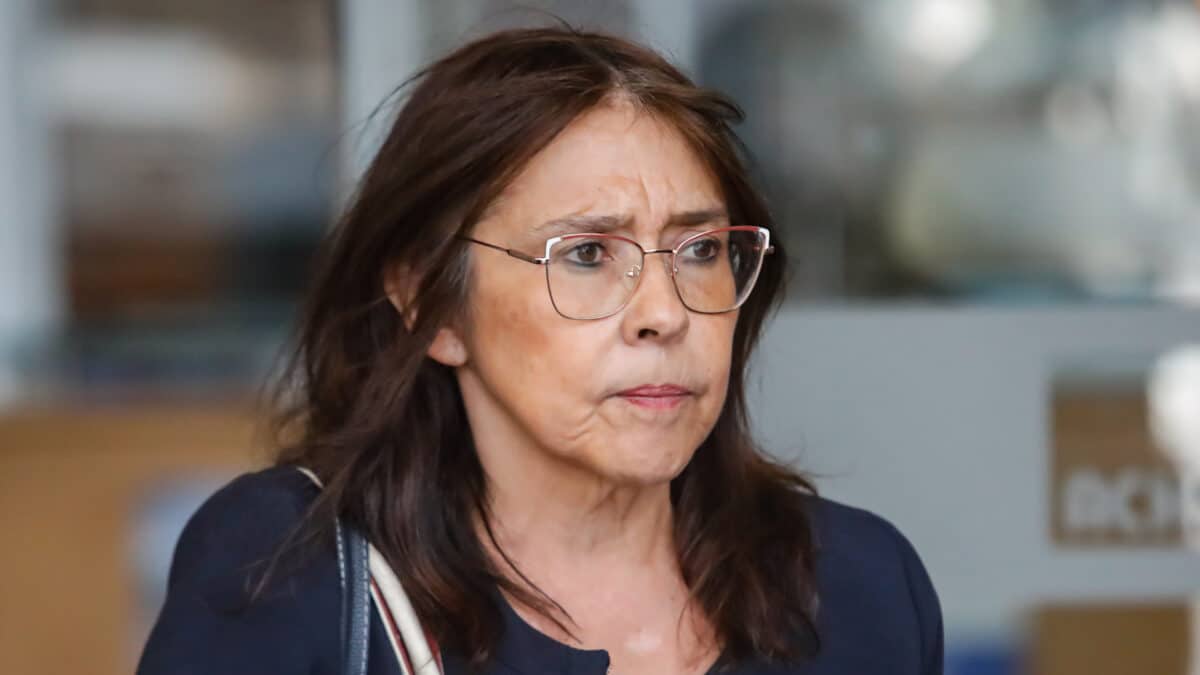 María Inés Horvitz deja defensa