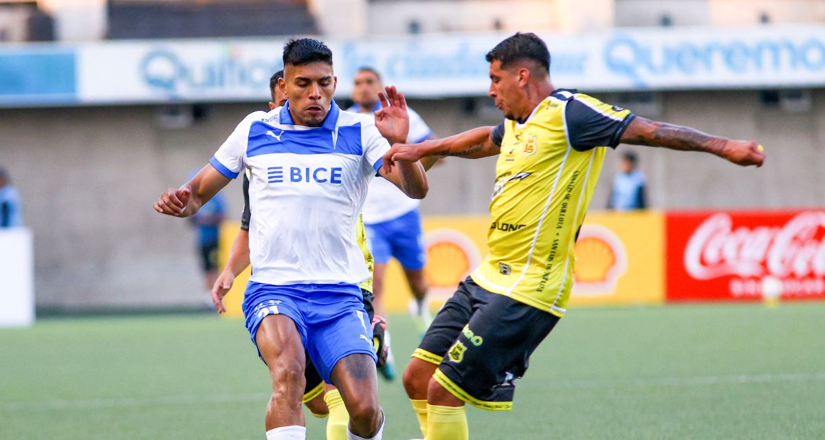 Universidad Católica