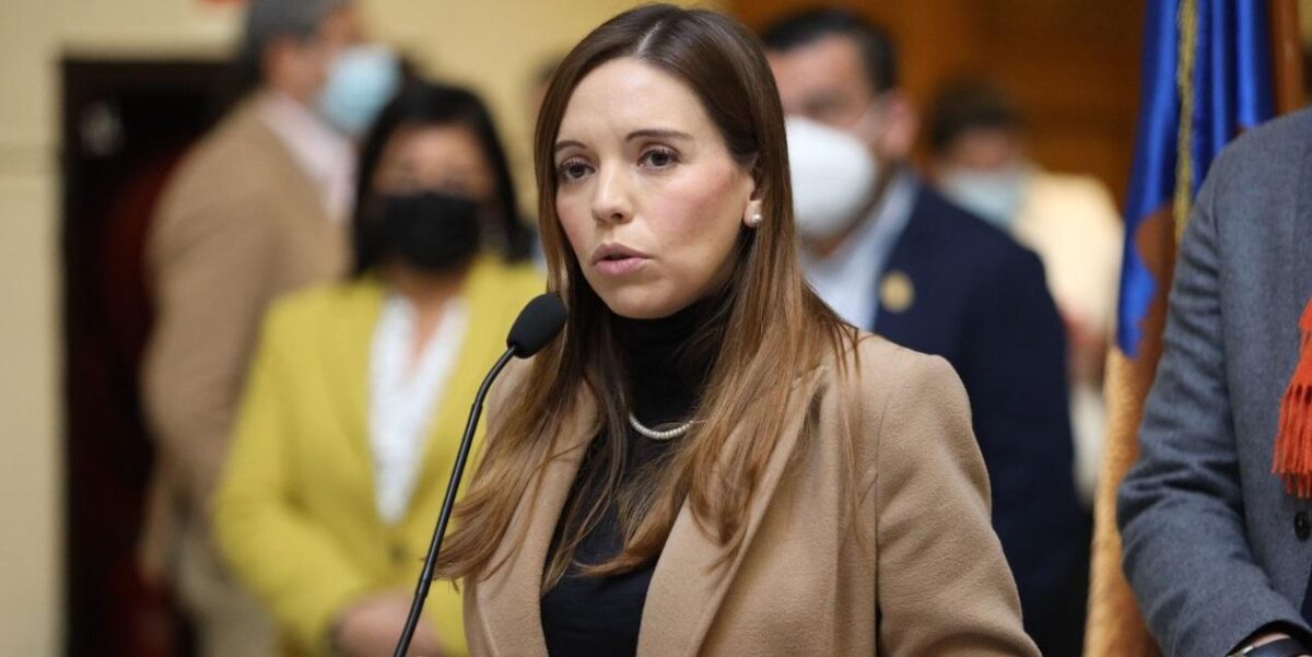 diputada Camila Flores