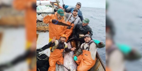 Pescadores Blumar