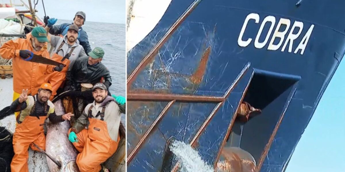 pescadores de Coronel