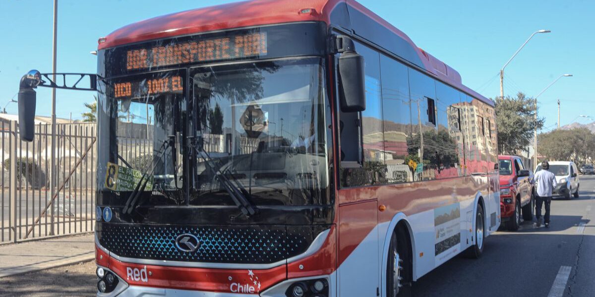 buses