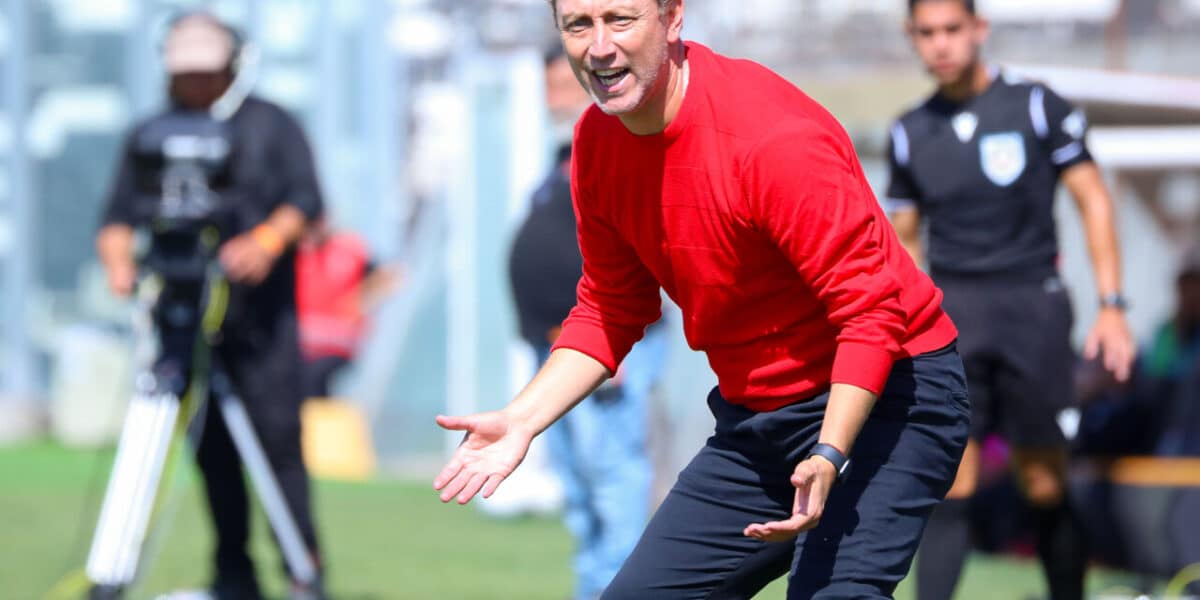 ¿Luis Mena será el DT interino de Chile?