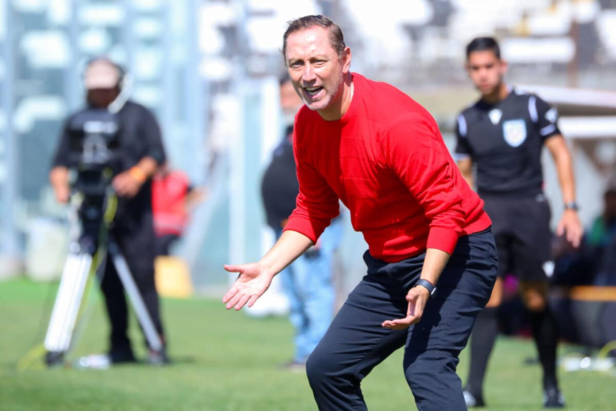 ¿Luis Mena será el DT interino de Chile?