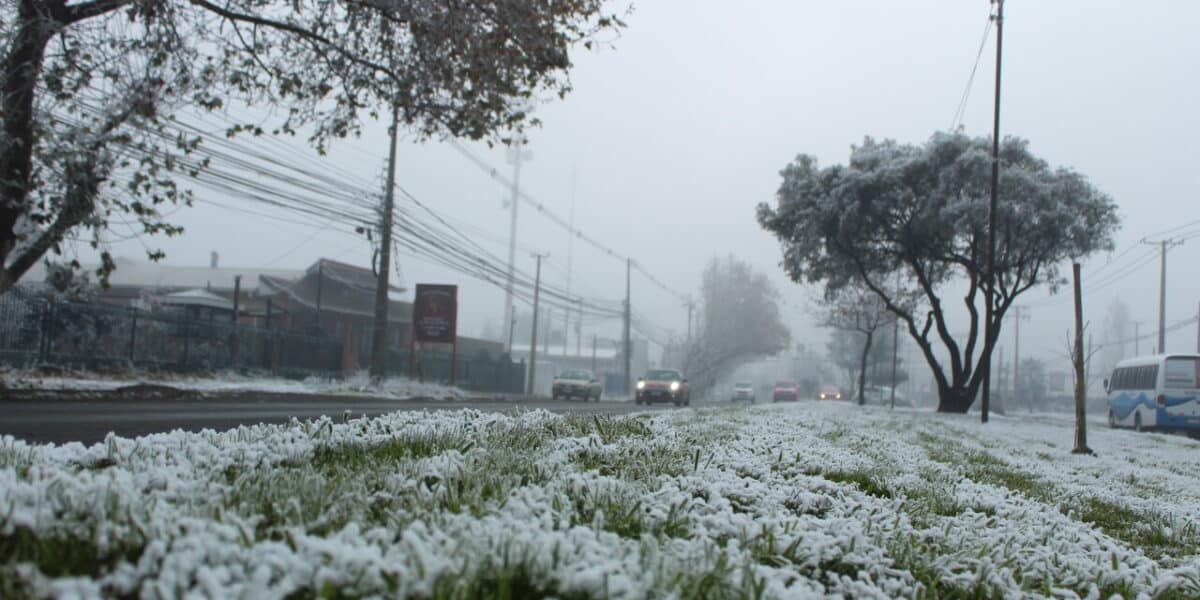 nevadas