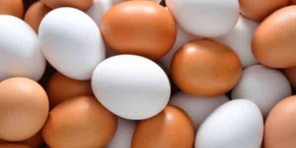 Conoce la diferencia del Huevo blanco y de color.