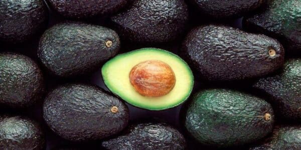 Palta y sus beneficios.