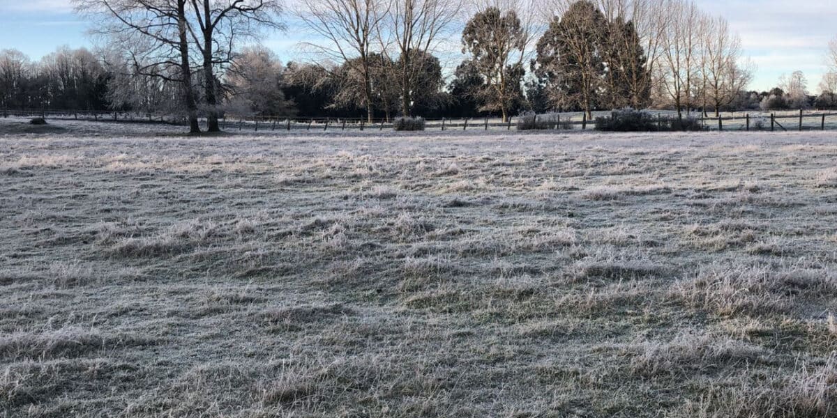 Región de los Lagos