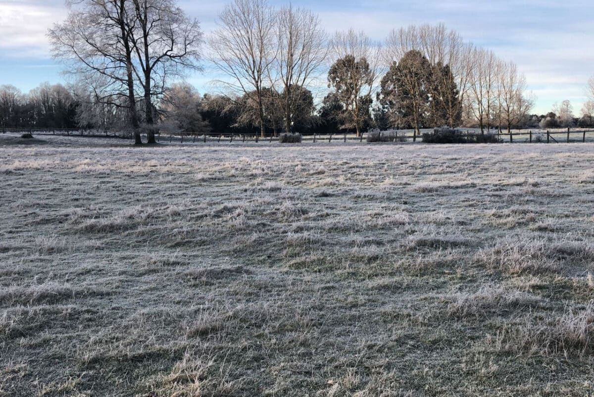 Región de los Lagos