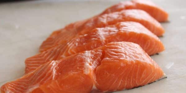 Salmón con bacterias