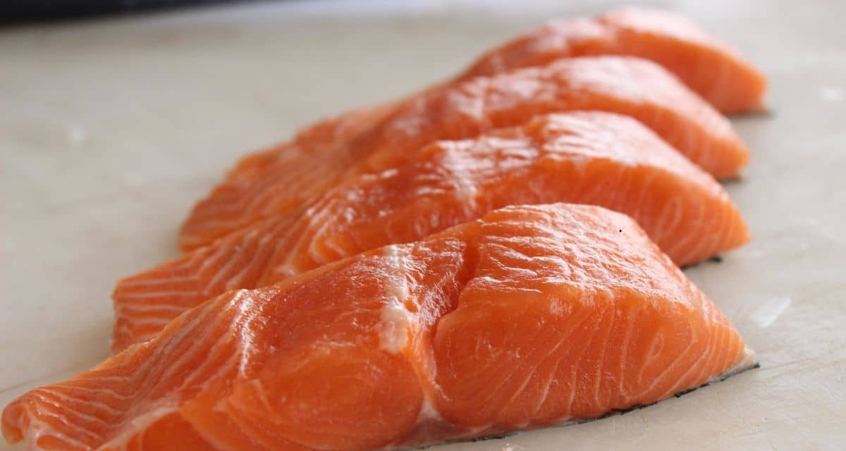 Salmón con bacterias