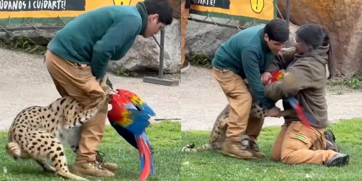 Buin Zoo